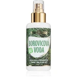 Purity Vision BIO borovicová voda 100 ml