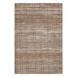 Brązowo-beżowy dywan 340x240 cm Terrain – Hanse Home
