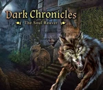 Dark Chronicles: The Soul Reaver Steam CD Key