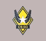 CS:GO - Series 1 - Victory Collectible Pin