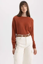 DEFACTO Regular Fit Crew Neck Pullover
