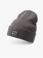 Grey ribbed winter beanie Dakine Cutter - Men