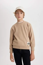 DEFACTO Regular Fit Crew Neck Sweatshirt