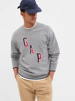 Men's sweater GAP