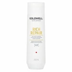 Goldwell Dualsenses Rich Repair Restoring Shampoo szampon do włosów suchych i zniszczonych 250 ml
