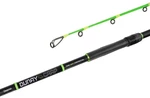 Delphin DUNAY Carp 2,4 m 200 g 2 parties