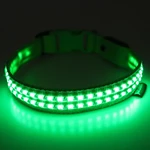 Reedog luminous USB svíticí obojek pro malé, střední a velké psy - Zelená  S