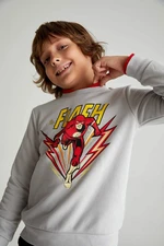 DEFACTO Regular Fit The Flash Licensed Crew Neck Sweatshirt
