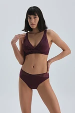 Dagi Burgundy High Waist Bikini Bottom
