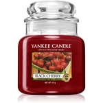 Yankee Candle Black Cherry vonná svíčka 411 g