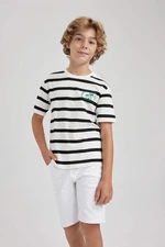 DEFACTO New Regular Fit Striped Short Sleeve T-Shirt