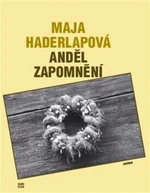 Anděl zapomnění - Maja Haderlapová