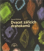 Dvacet zářících drahokamů - David Hrbek