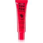 Pure Paw Paw Ointment balzam na pery a suché miesta 15 g