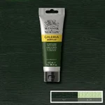 Akrylová barva Galeria 120ml – 311 hooker''s green