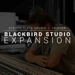 Steven Slate SSD Blackbird (Expansion) Actualizaciones y Mejoras (Producto digital)