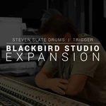 Steven Slate SSD Blackbird (Expansion) (Producto digital)
