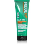 Fudge Clean Mint Shampoo šampón na mastné vlasy 250 ml