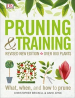 Pruning and Training