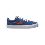 Nike sb charge suede (gs)