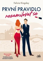 První pravidlo: nezamilovat se - Felicia Kingsley - e-kniha