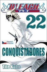 Bleach 22 - Tite Kubo
