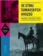 Ve stínu šumavských hvozdů - Jiří Grus, Vojtěch Mašek, Džian Baban