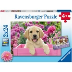 Ravensburger puzzle Kouzelná štěňata 2 x 24 dílků