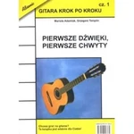 Absonic. Gitara Krok Po Kroku Cz. 1