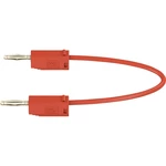 Stäubli LK205 merací kábel [lamelový zástrčka 2 mm  - lamelový zástrčka 2 mm ] 45.00 cm červená 1 ks