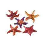 Dekorace Ferplast mořská hvězda 9x9x2,5cm