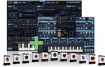 KV331 Audio SynthMaster Everything Bundle (Produkt cyfrowy)