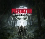 Predator: Hunting Grounds Steam Altergift