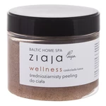 ZIAJA Baltic Home Spa Chocolate Telový peeling Wellness 300 ml