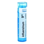 BOIRON Influenzinum CH9 4 g