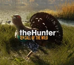 theHunter: Call of the Wild - Revontuli Coast DLC Steam CD Key