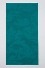 DEFACTO Boy Beach Towel