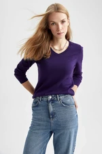 DEFACTO Regular Fit V-neck Pullover