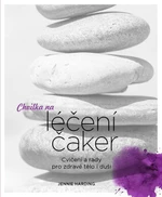 Chvilka na léčení čaker - Jennie Hardingová
