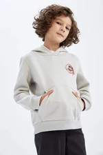 DEFACTO Regular Fit Hooded Sweat Shirt