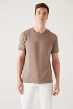 Avva Men's Mink Crew Neck Cotton Standard Fit Normal Cut Fine Knitwear T-shirt