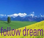 follow dream PC Steam CD Key