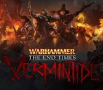 Warhammer: End Times - Vermintide Dwarf Helmet DLC Steam CD Key
