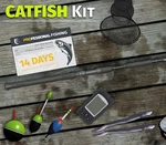 Professional Fishing - Catfish Kit DLC Steam CD Key