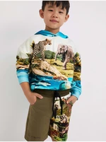 Khaki boys' shorts Desigual Angel - Boys