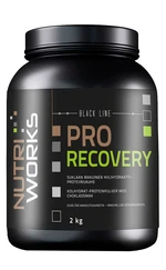 NUTRIWORKS Pro Recovery čokoláda 2 kg