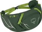 Osprey Duro Dyna Belt Seaweed Green/Limon Cas courant