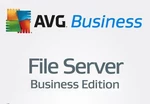 AVG File Server Business Edition Key (3 Years / 1 Device)