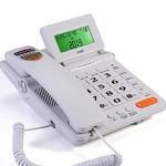Big Button Corded Telephone Phone with Caller ID, Adjustable Volume, Calculator, Green Backlit, Dual Interface for Home Office