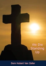 We Die Standing Up